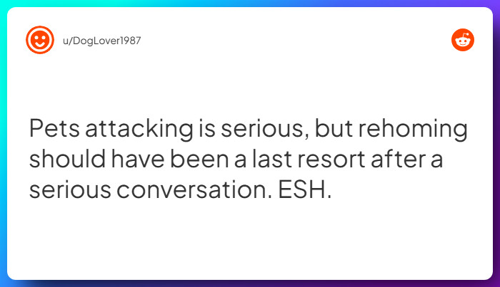 Comment from u/DogLover1987