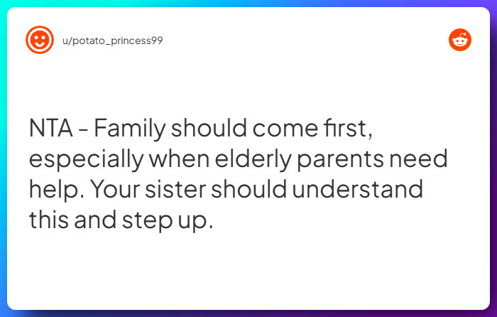 Comment from u/potato_princess99