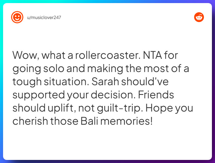 Comment from u/musiclover247