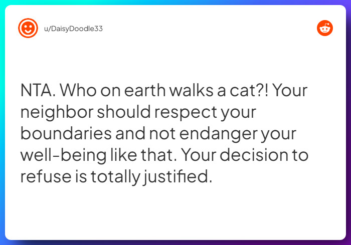 Comment from u/DaisyDoodle33