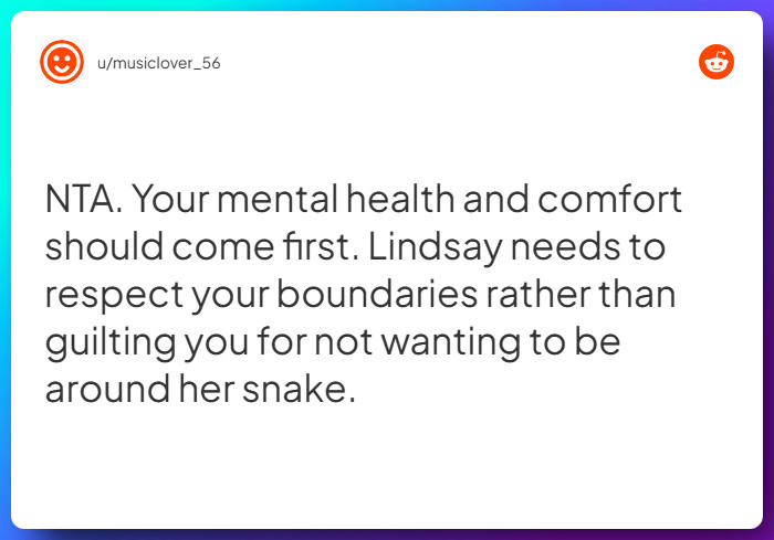 Comment from u/musiclover_56