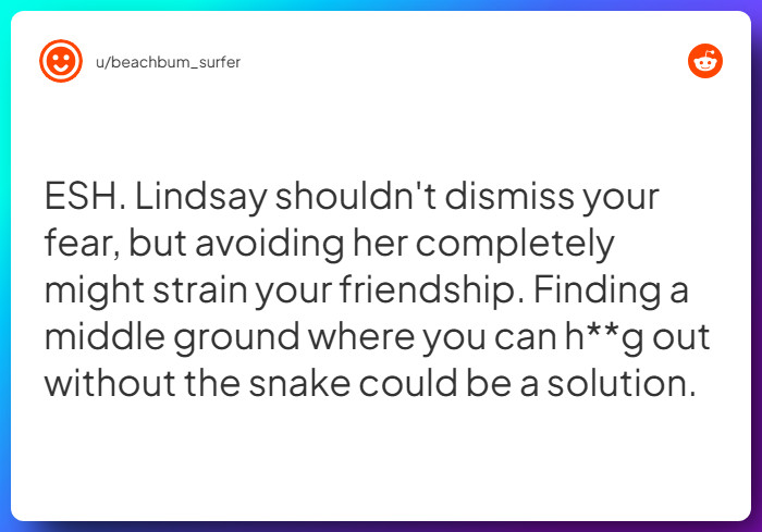 Comment from u/beachbum_surfer