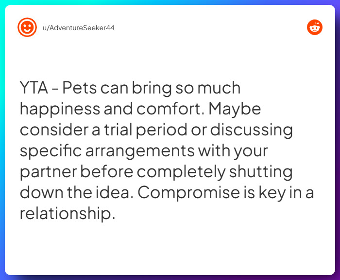 Comment from u/AdventureSeeker44