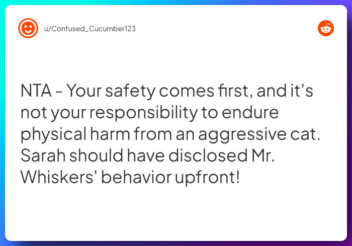 Comment from u/Confused_Cucumber123