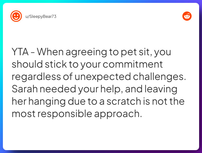 Comment from u/SleepyBear73