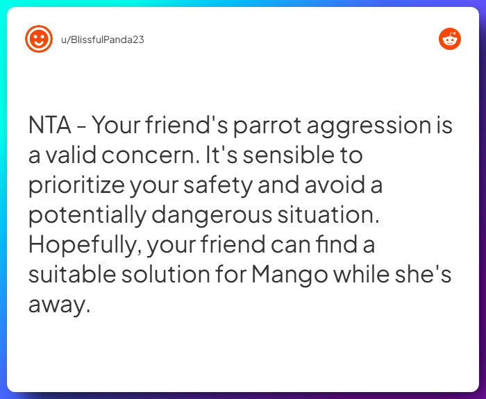 Comment from u/BlissfulPanda23