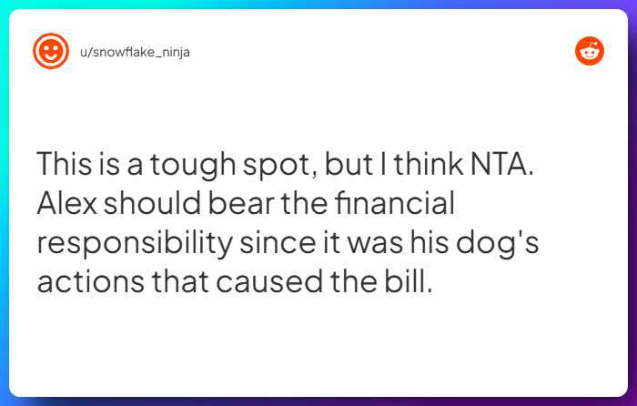 Comment from u/snowflake_ninja