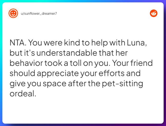 Comment from u/sunflower_dreamer7