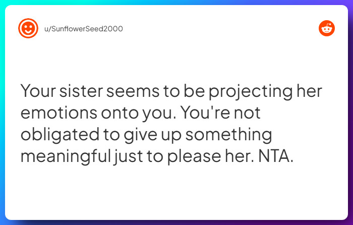 Comment from u/SunflowerSeed2000