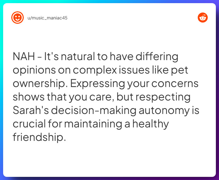 Comment from u/music_maniac45