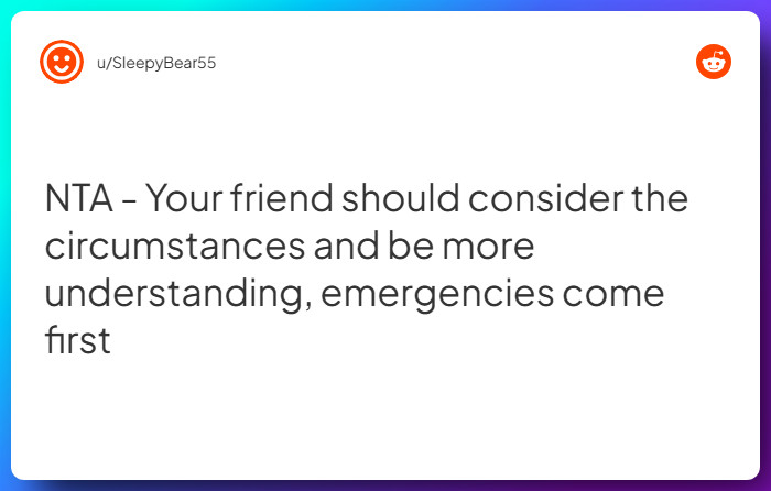 Comment from u/SleepyBear55