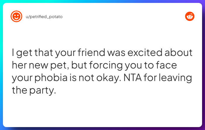 Comment from u/petrified_potato