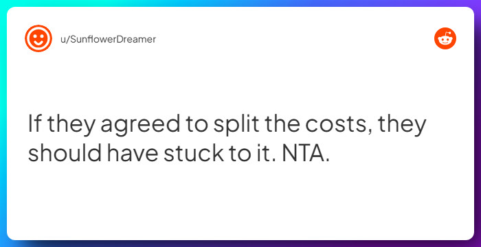 Comment from u/SunflowerDreamer