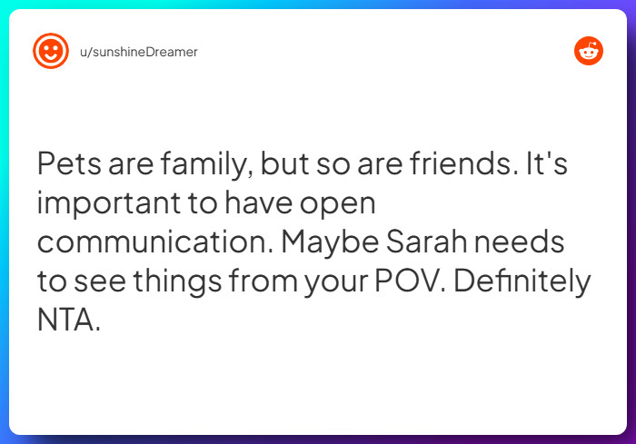 Comment from u/sunshineDreamer