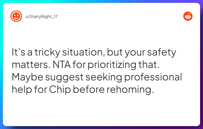 Comment from u/StarryNight_17