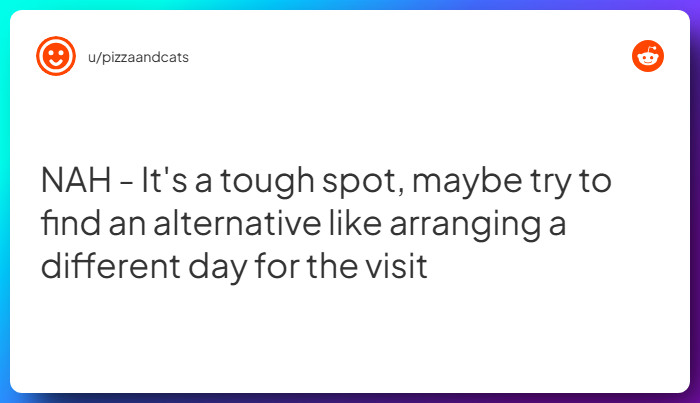 Comment from u/pizzaandcats