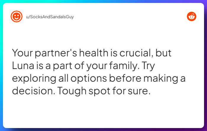 Comment from u/SocksAndSandalsGuy