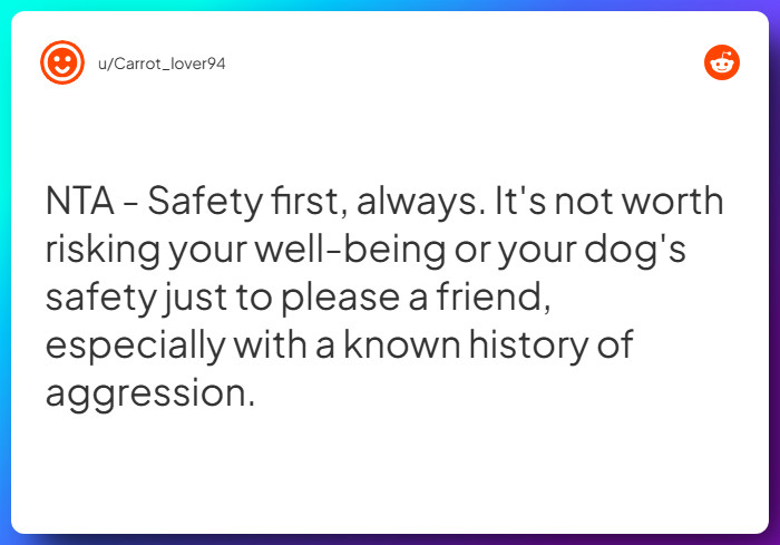 Comment from u/Carrot_lover94