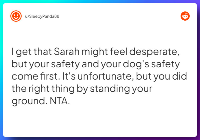 Comment from u/SleepyPanda88