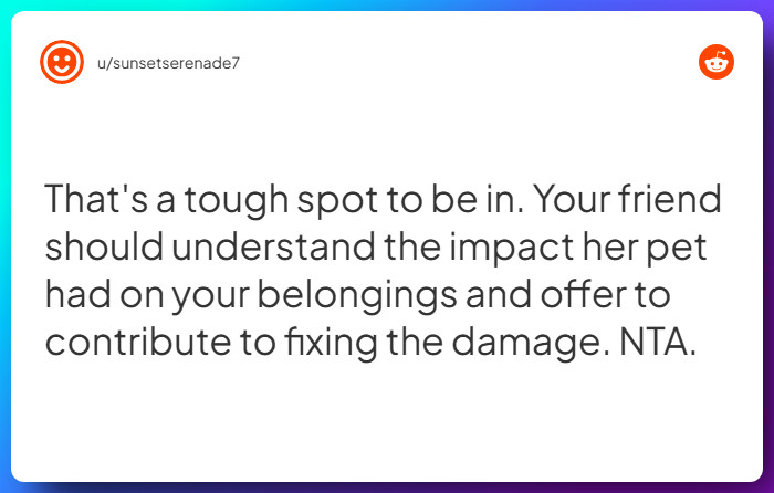 Comment from u/sunsetserenade7