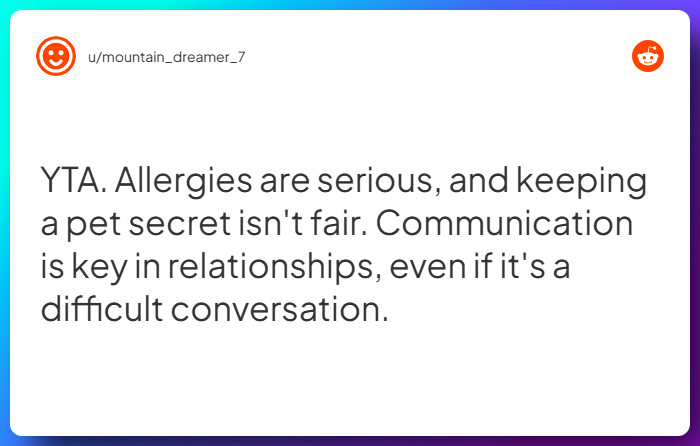 Comment from u/mountain_dreamer_7