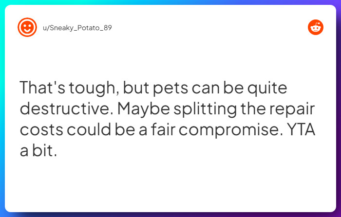 Comment from u/Sneaky_Potato_89