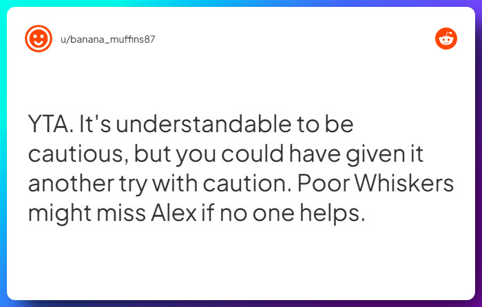 Comment from u/banana_muffins87