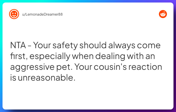 Comment from u/LemonadeDreamer88