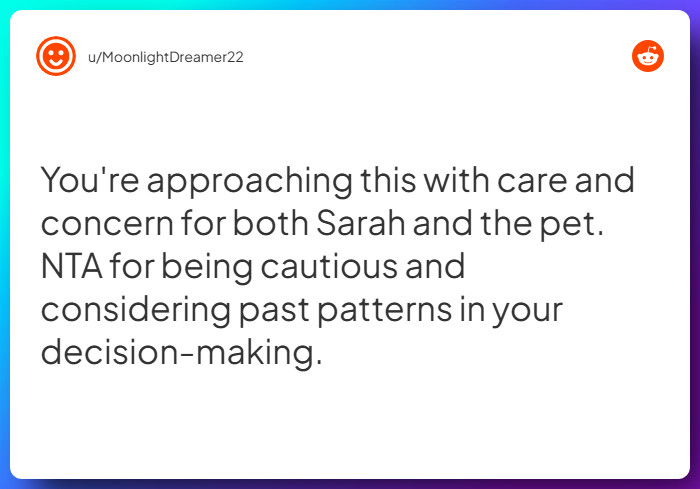 Comment from u/MoonlightDreamer22