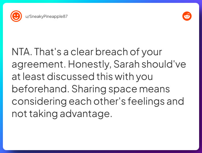 Comment from u/SneakyPineapple87