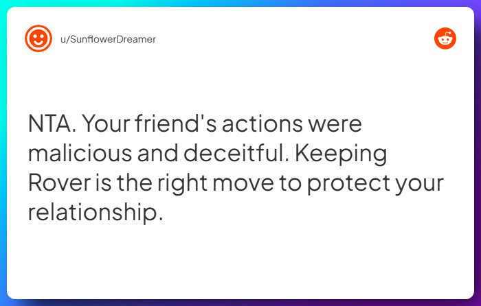 Comment from u/SunflowerDreamer