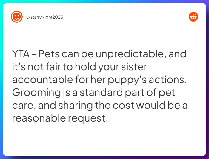 Comment from u/starryNight2023