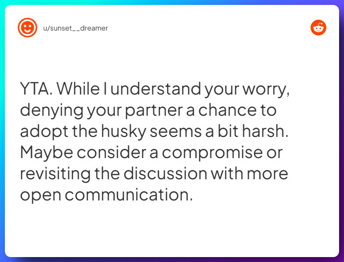 Comment from u/sunset__dreamer