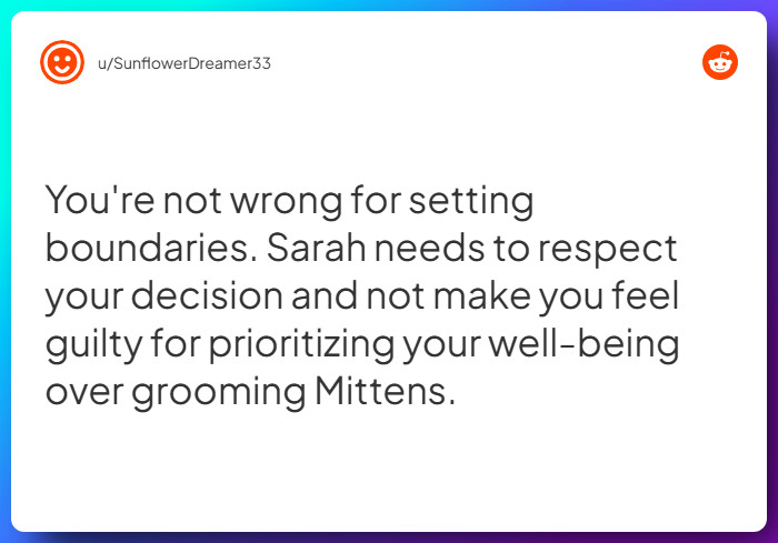 Comment from u/SunflowerDreamer33