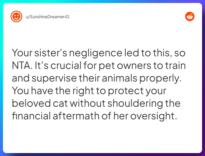 Comment from u/SunshineDreamer42