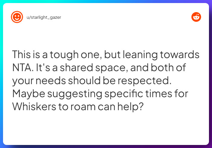 Comment from u/starlight_gazer