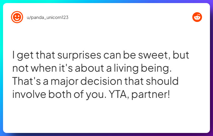 Comment from u/panda_unicorn123