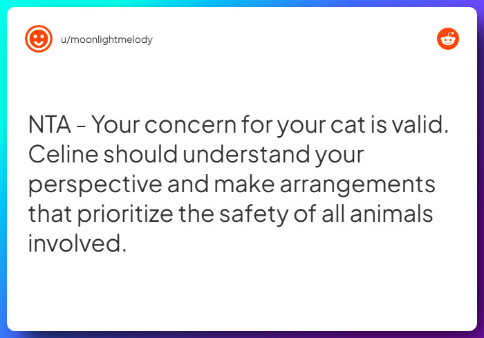 Comment from u/moonlightmelody