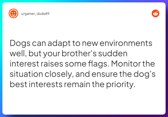 Comment from u/gamer_dude89