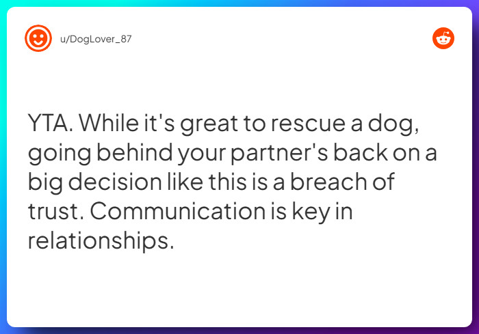 Comment from u/DogLover_87