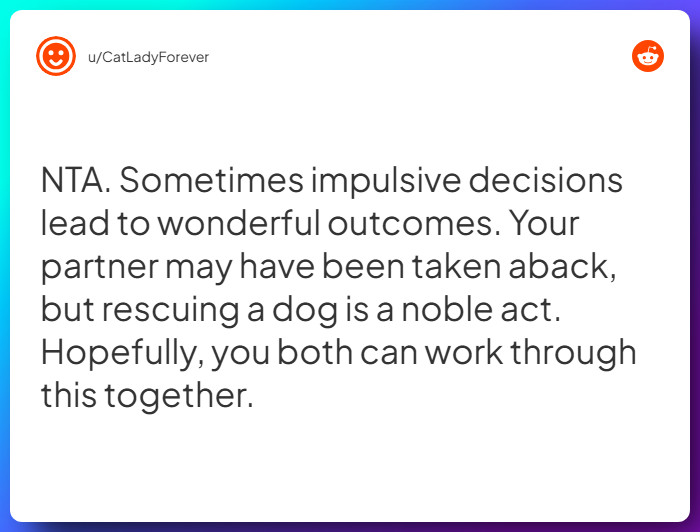 Comment from u/CatLadyForever