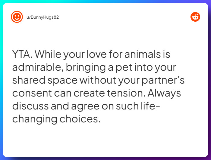 Comment from u/BunnyHugs82