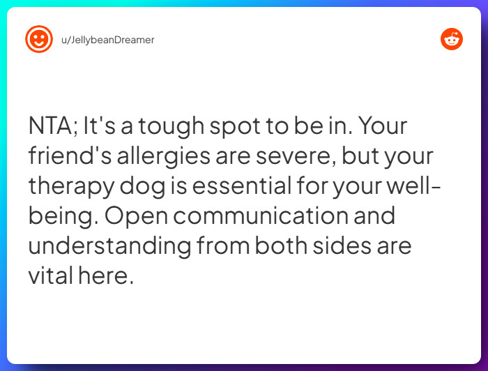 Comment from u/JellybeanDreamer