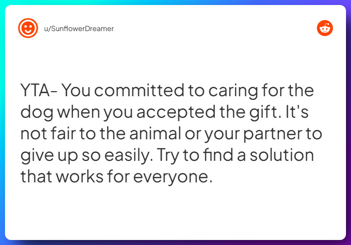 Comment from u/SunflowerDreamer