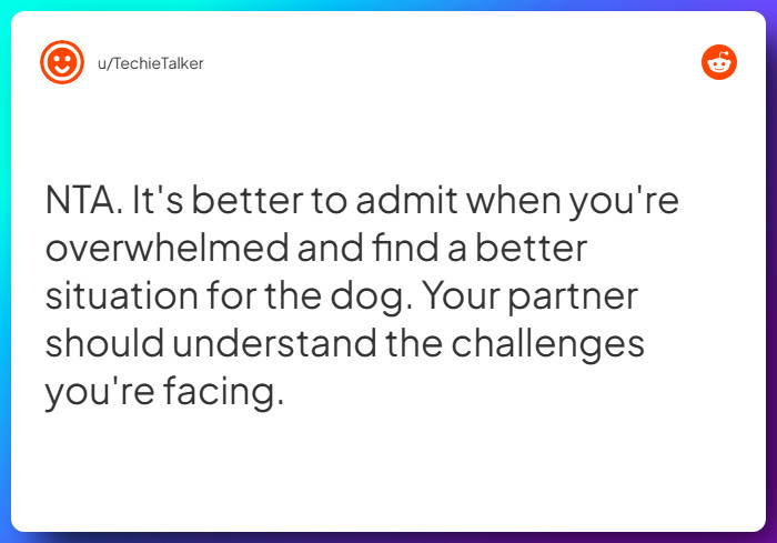 Comment from u/TechieTalker