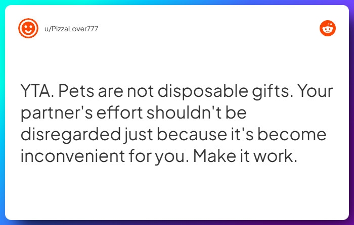 Comment from u/PizzaLover777