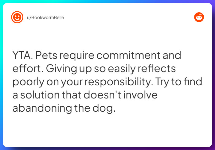 Comment from u/BookwormBelle