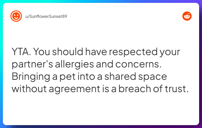 Comment from u/SunflowerSunset89