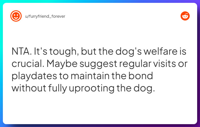 Comment from u/furryfriend_forever