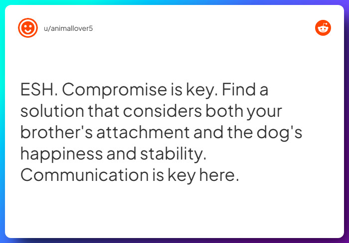 Comment from u/animallover5